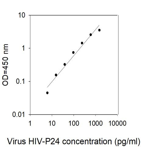 This protein is used as the standard in the ELISA kit (catalog number: ELV-HIVP24).