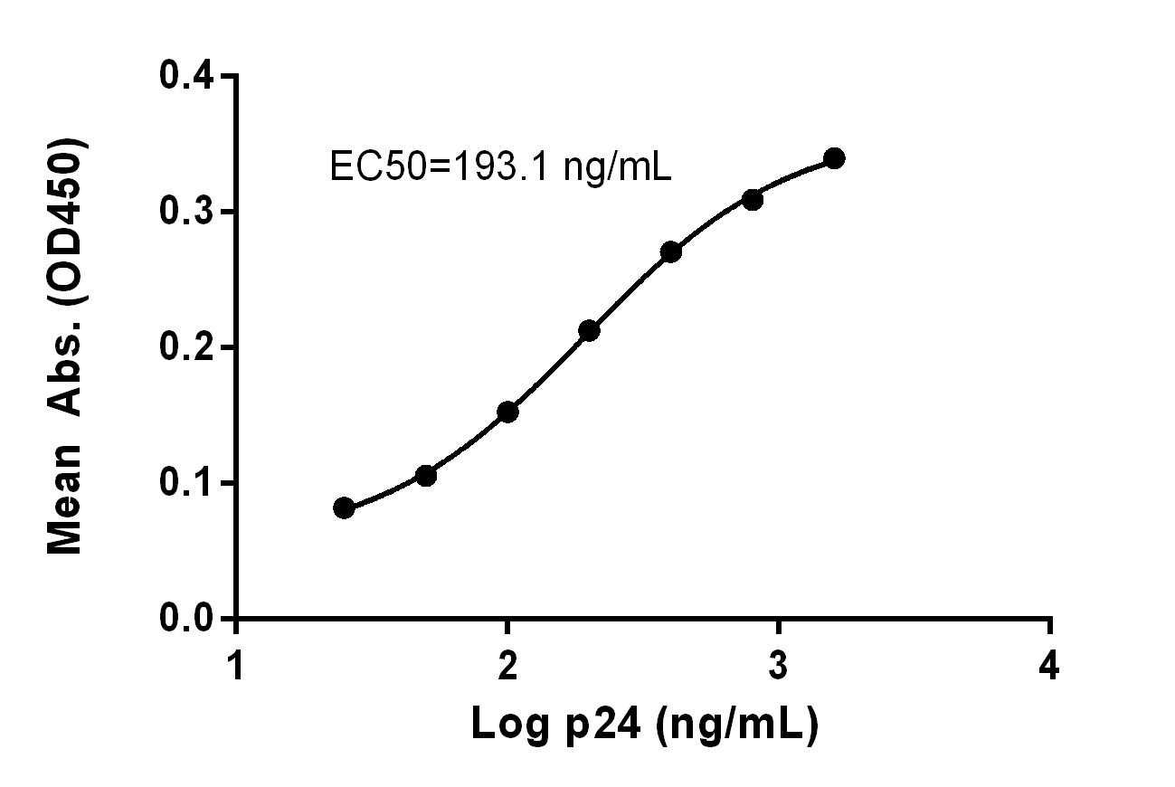 Measured by its binding ability in a functional ELISA. Immobilized recombinant human immunodeficiency virus 1 p24 (Code: 230-00505) can bind mouse anti-HIV type 1 p24 with EC50 at 193.1 ng/mL.