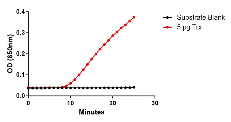 Measured by its ability to catalyze the reduction of insulin.