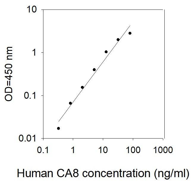 Human CA8 ELISA kit Standard Curve