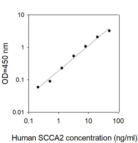 This antibody is used in the ELISA kit (catalog number: ELH-SCCA2).
