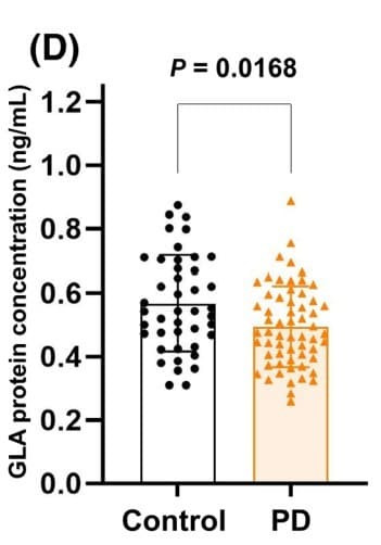 The kit was used to quantify serum alpha-galactosidase A protein levels in patients with Parkinson’s disease and age-matched controls. Figure adapted from Mizutani et al., Annals of Clinical and Translational Neurology, 2023.