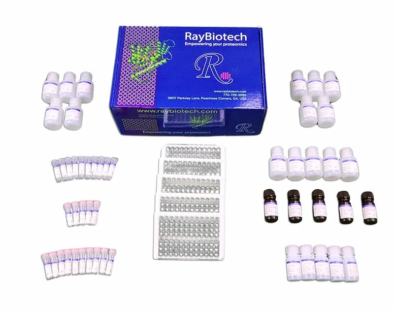 5 Plate Kit Packaging (one box)