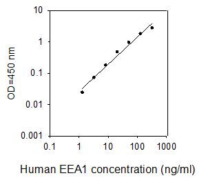Human EEA1 ELISA kit Standard Curve