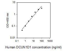 Human DCUN1D1 ELISA kit Standard Curve