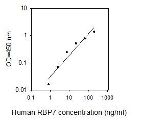 Human RBP7 ELISA kit Standard Curve