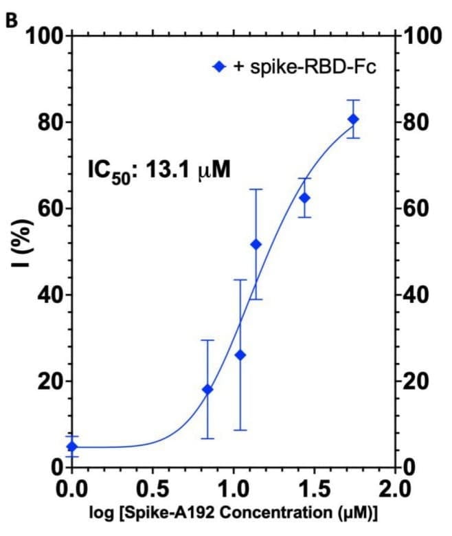 Figure adapted from Phan et al., Biomacromolecules, 2023.