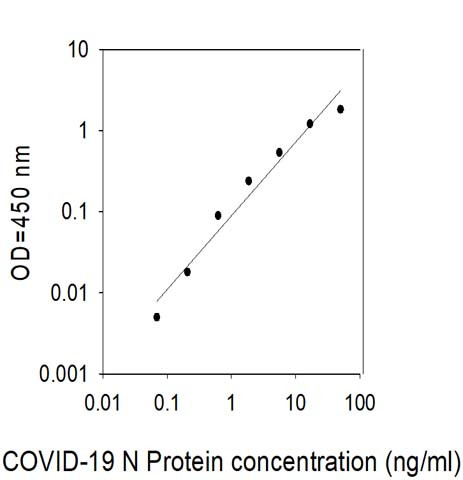 This antibody is used in the ELISA kit (catalog number: ELV-COVID19N).