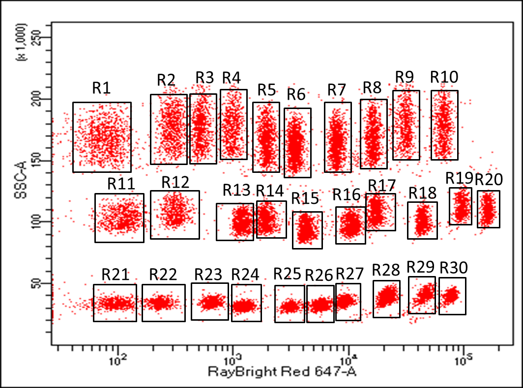 Different populations of bead size and color combinations enable multiplex protein detection with RayPlex® arrays.