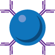RayPlex Cetuximab (Erbitux®) Anti-Drug Antibody Assay