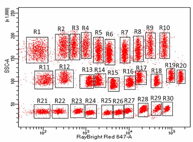 Different populations of bead size and color combinations (“R#”) enable multiplex protein detection with RayPlex arrays.