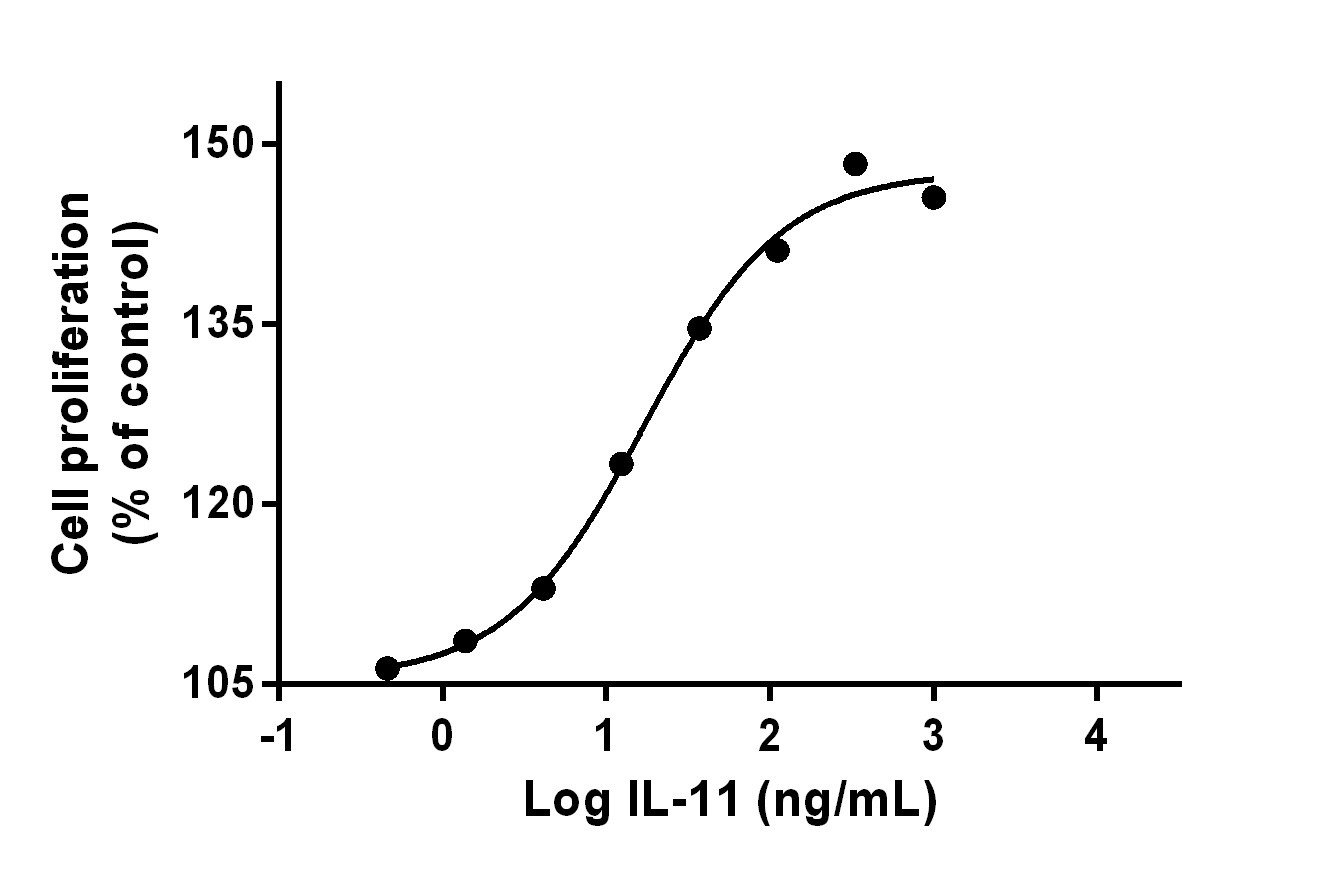 Stimulating cell growth significantly. Measured in a cell proliferation assay using TF-1 human erythroleukemic cells. The EC50 for this effect is 12 ng/mL.