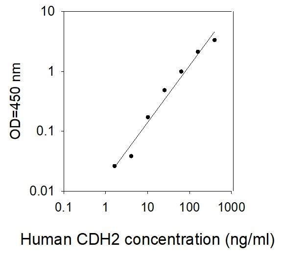 Human CDH2 ELISA kit Standard Curve