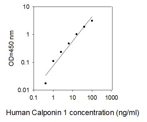 Human Calponin 1 ELISA kit Standard Curve