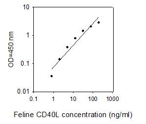 Feline CD40L ELISA kit Standard Curve