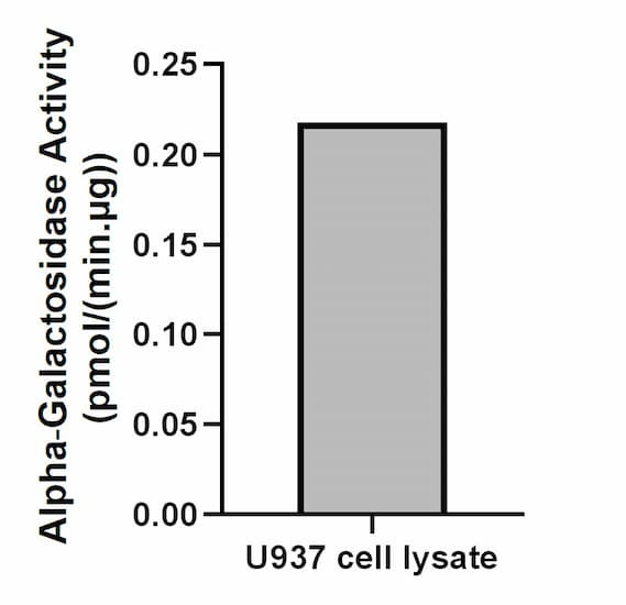 Alpha‑Galactosidase activity of U937 cell lysate.
