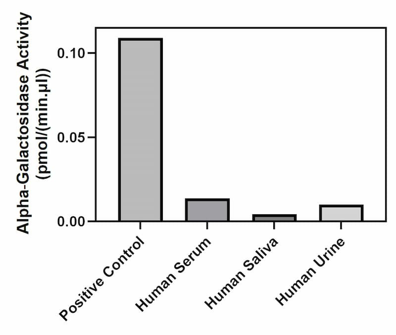 Alpha‑Galactosidase activity of positive control, human serum, human saliva, human urine.