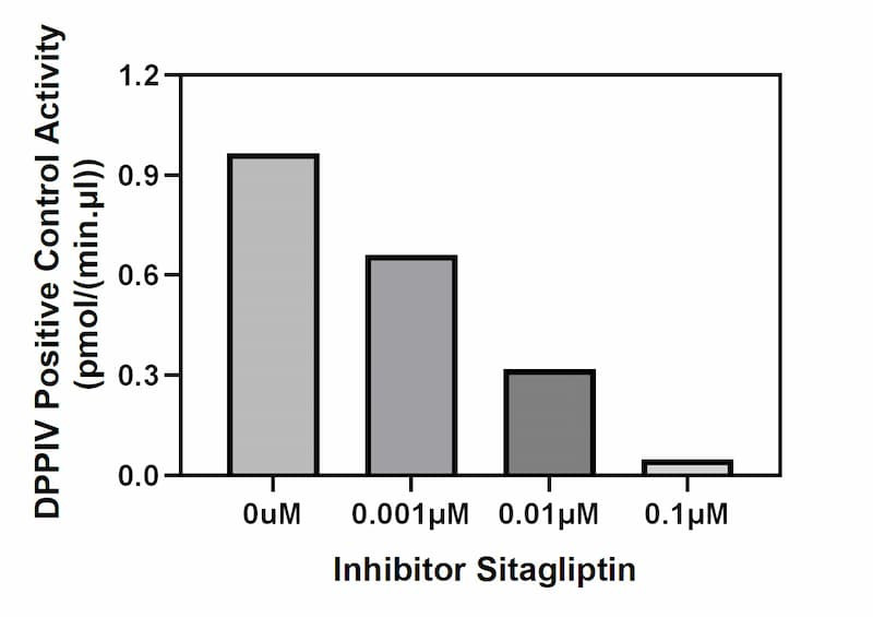 Inhibition of DPPIV activity by Sitagliptin.