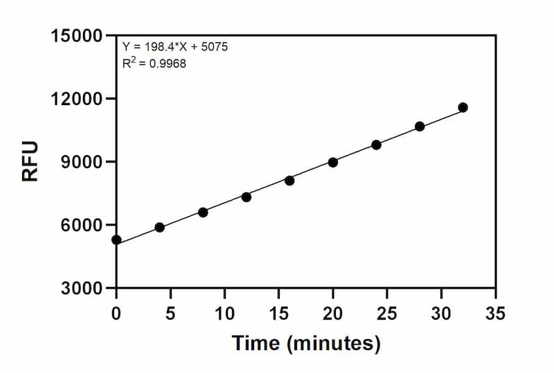 Cathepsin B positive control activity over time.
