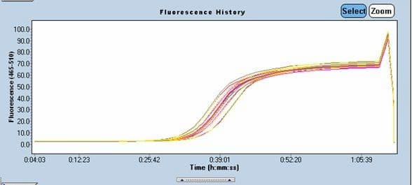 SYBR qPCR Mix Amplification Curve