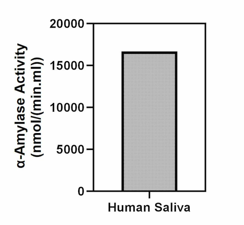 α-Amylase activity of different sample types.