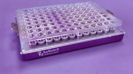 RayBio® 96-well Magnetic Plate Separator | RayBiotech