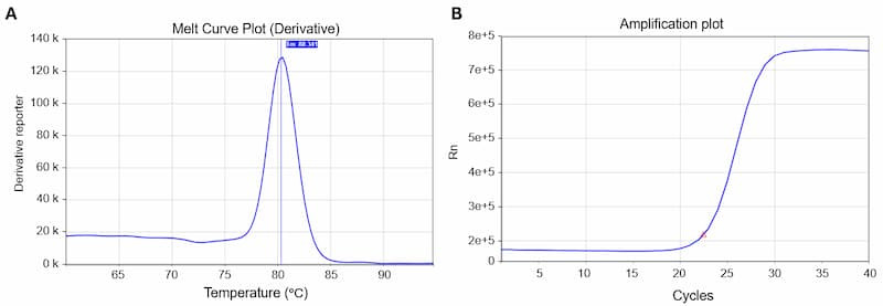 Typical melting curve peak (A) and amplification curve (B) for a qPCR product.