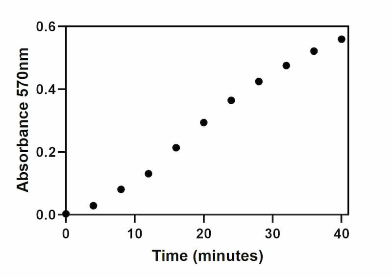 Pyruvate Kinase positive control activity over time.