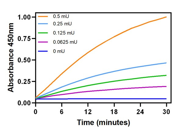Different amounts of ALDH activity over time.