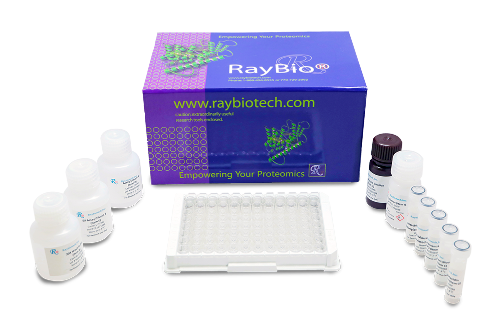 Phospho-AMPKa1 (T183) ELISA Kit Positive Control