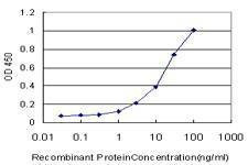 Anti-MUC1 Antibody