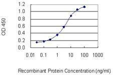 Anti-MYOM1 Antibody