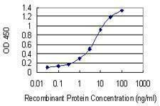 Anti-MYOZ2 Antibody
