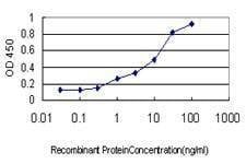 Anti-NCF4 Antibody