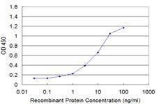 Anti-NCOA4 Antibody