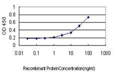 Anti-NDUFS4 Antibody