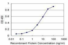Anti-NEUROG1 Antibody