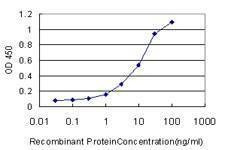 Anti-NISCH Antibody