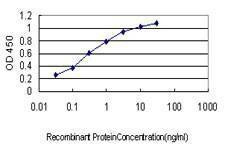 Anti-NMI Antibody