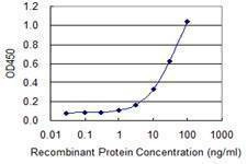 Anti-NOS2 Antibody