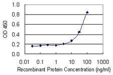 Anti-NR2F1 Antibody