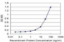 Anti-NUDT2 Antibody