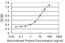 Anti-OMP Antibody