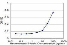 Anti-PAFAH1B3 Antibody