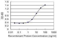 Anti-PAFAH2 Antibody