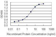 Anti-PBXIP1 Antibody