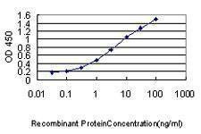 Anti-PDCD6IP Antibody