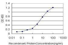 Anti-PET112L Antibody