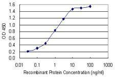 Anti-PGRMC1 Antibody