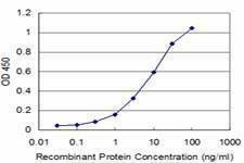 Anti-PIK3CA Antibody